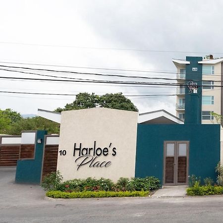 Harloe'S Place คิงส์ตัน ภายนอก รูปภาพ