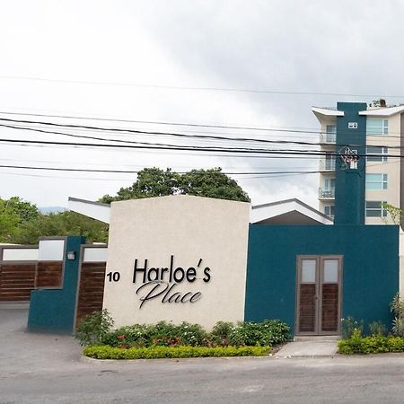 Harloe'S Place คิงส์ตัน ภายนอก รูปภาพ